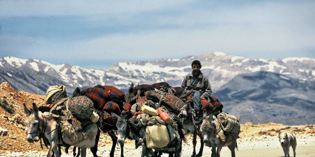 Je nach Jahreszeit suchen sich die Nomaden im Zagros ihre Bleibe
