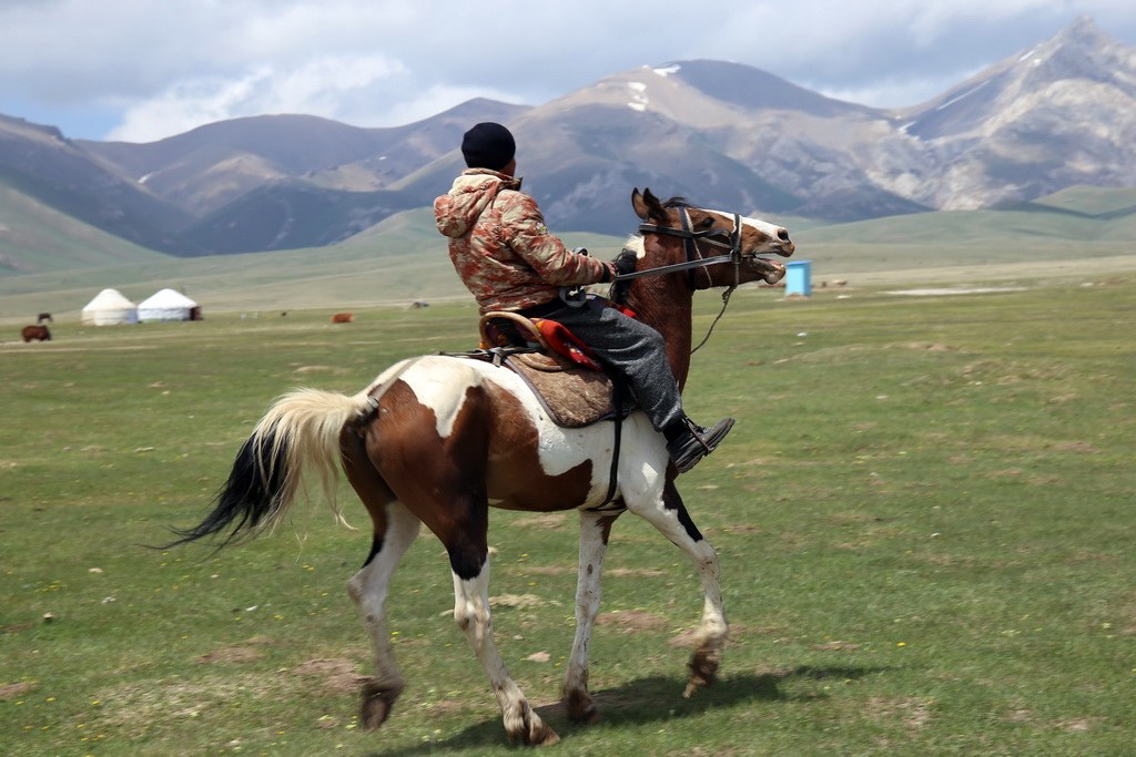 Pferd mit Reiter im Hochland von Kirgistan