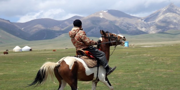 Pferd mit Reiter im Hochland von Kirgistan