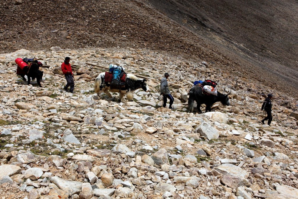 Pamir Highway: Yak Trekking in der Bergwelt des Alichur Range
