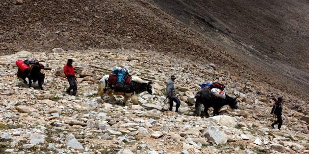 Pamir Highway: Yak Trekking in der Bergwelt des Alichur Range