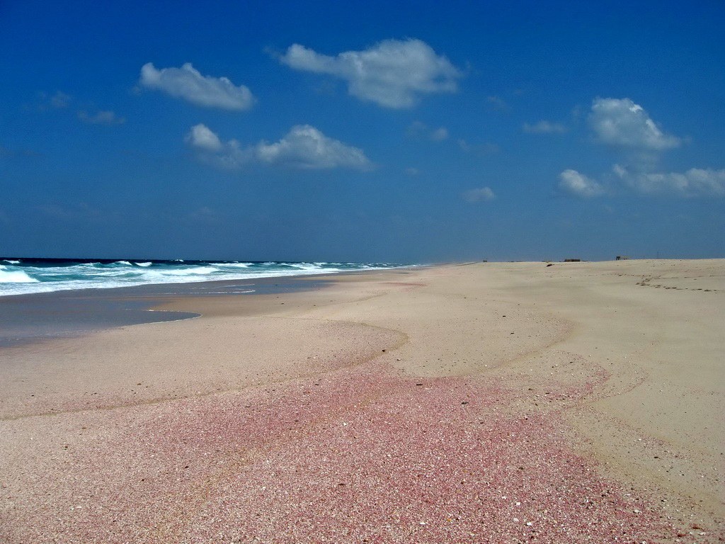 Die Strände der Ostküste sind durch kleine Muscheln rose gefärbt.