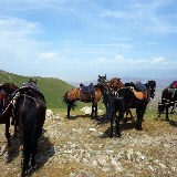 Pferdetrekking in Kirgistan