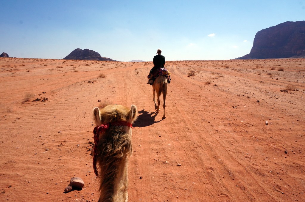 Vom Rücken der Kamele die Weite der Wüste genießen.