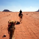 Vom Rücken der Kamele die Weite der Wüste genießen.