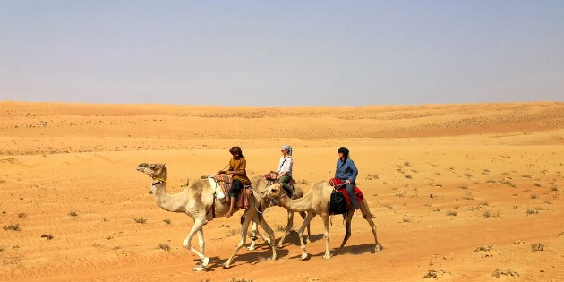 Auf dem Rücken der Kamele geht es durch das Wadi Rum
