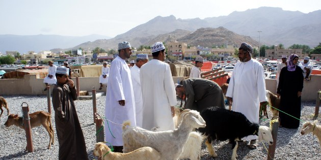 Während des Freitagsmarkts werden neben Ziegen und Schafen auch Kühe und Dromedare verkauft.