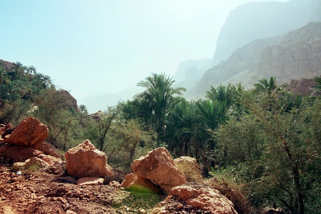 Umso weiter man in das Wadi fährt und dann bald auch wandert umso wilder wird die Natur.