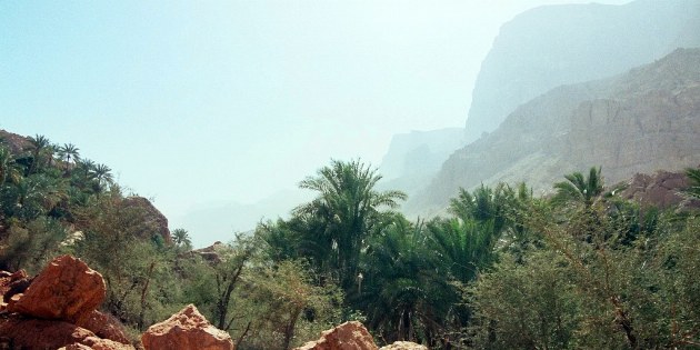 Umso weiter man in das Wadi fährt und dann bald auch wandert umso wilder wird die Natur.