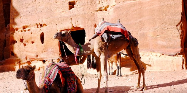 Kamele, Esel oder Pferde bringen Sie in jede Ecke der antiken Stadt