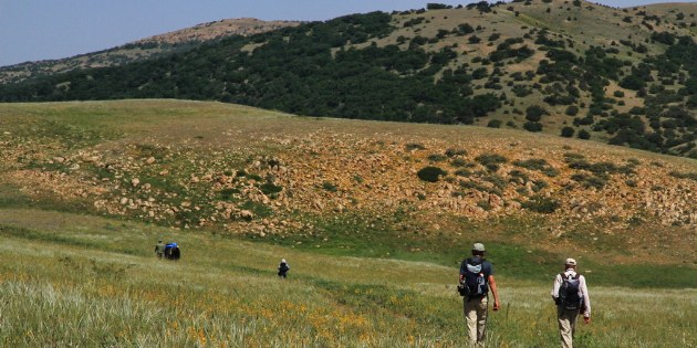 Wanderung durch den grünen Golestan Park