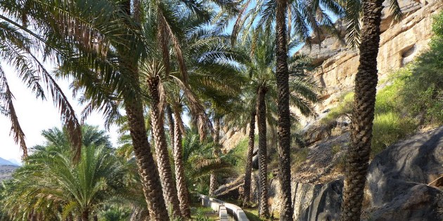In dem Bergdorf Misfat erlebt man ein ganz ursprüngliches Oman.