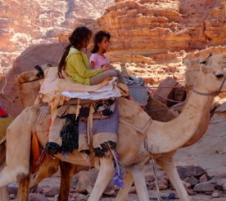Ein Abenteuer für jung und alt auf dem Rücken der Kamele.