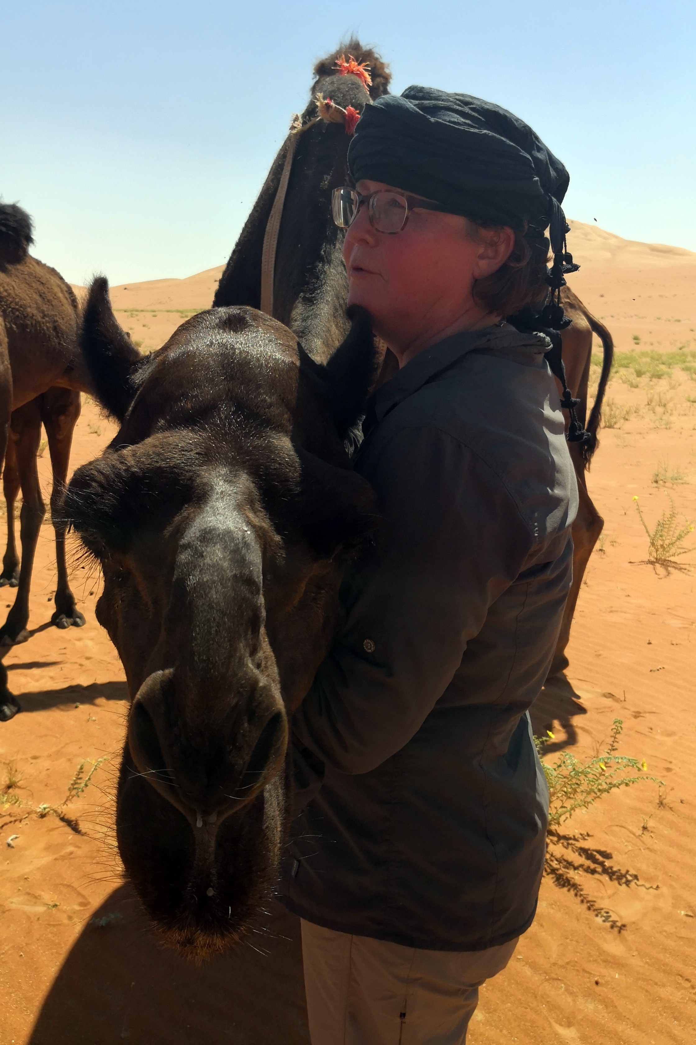 Kameltrekking Oman Rub al-Khali zutrauliche Kamele