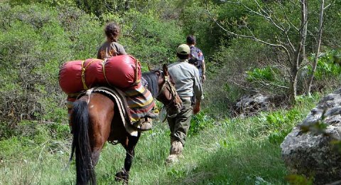Trekking mit Pferden im Iran