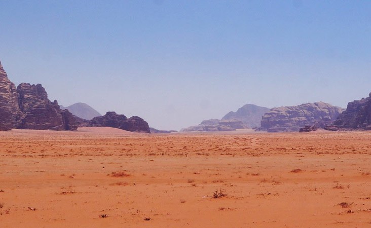 Natur in der Wadi-Rum